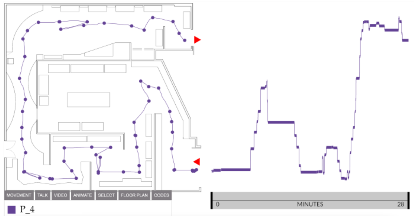 Transcript visualization
